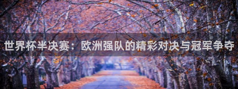 世界杯预选赛排名:世界杯半决赛:欧洲强队的精彩对决与冠军争夺