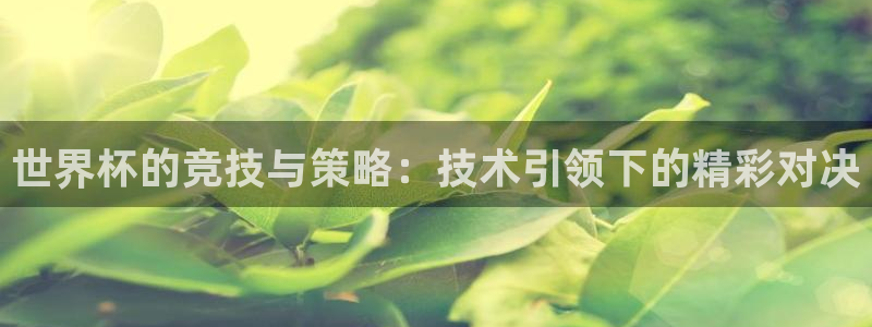 世界杯预选赛欧洲:世界杯的竞技与策略:技术引领下的精彩对决