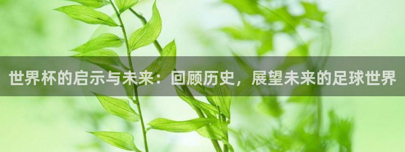 2026世界杯足球赛程时间表:世界杯的启示与未来:回顾历史,展望未来的足球世界