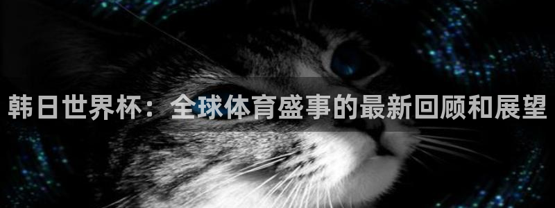 2026足球世界杯赛程:韩日世界杯:全球体育盛事的最新回顾和展望