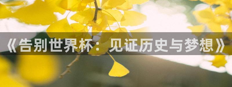 2026世界杯中国队:《告别世界杯:见证历史与梦想》