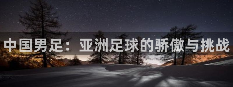 女足世界杯直播:中国男足:亚洲足球的骄傲与挑战